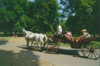 margit02.jpg margit02.jpg